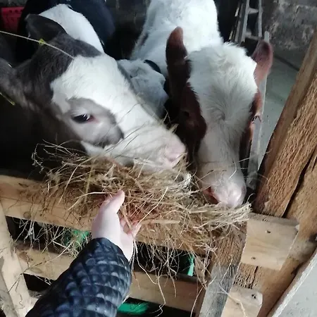 Farma U Irka Rybarzowice (Silesia)